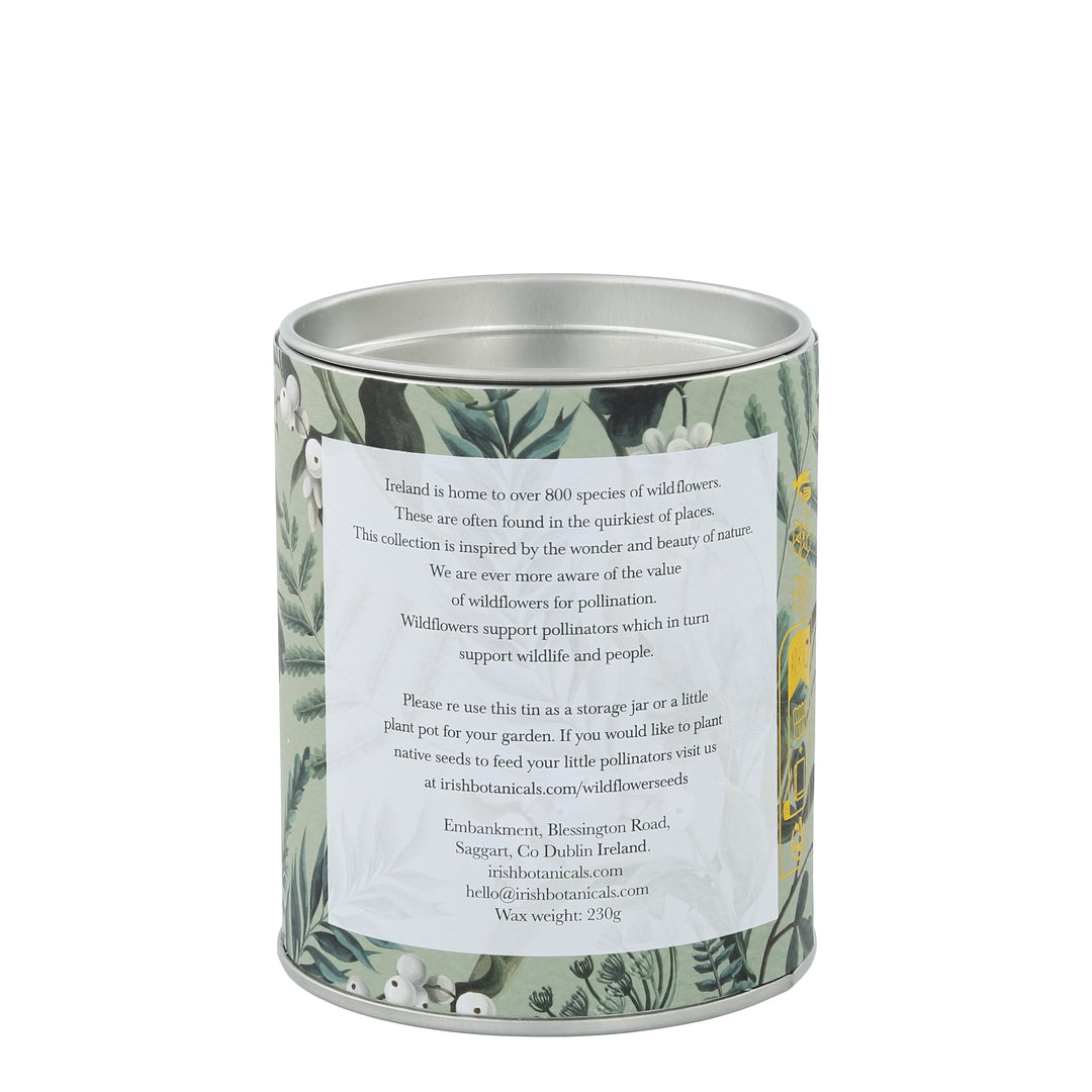 Irish Botanicals - Dente de leão e vela de fragrância de lâmpada - Dandelion and Dock Leaf Tin Candle