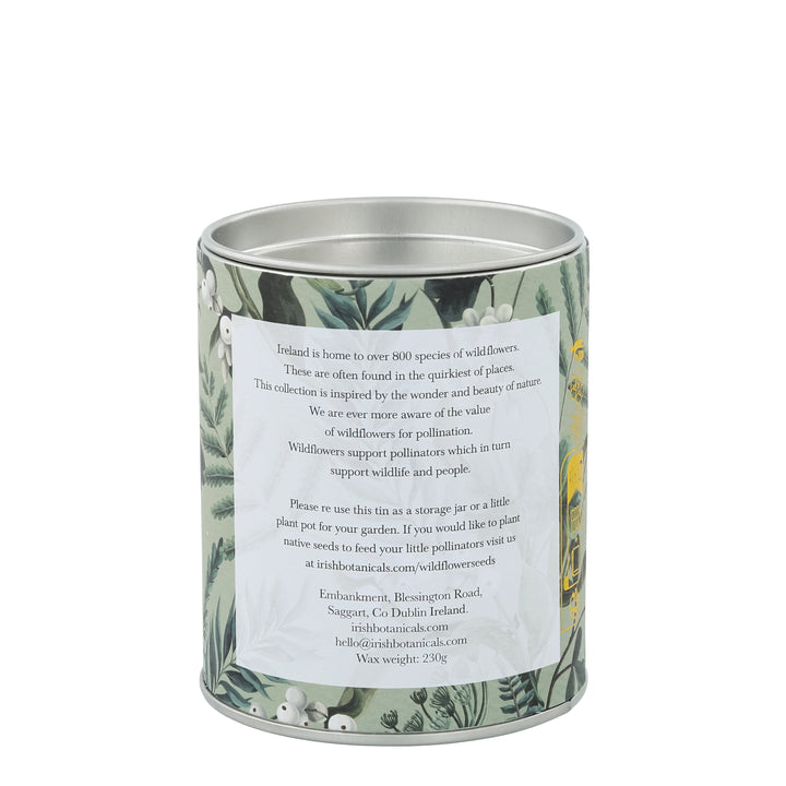 Irish Botanicals - Dente de leão e vela de fragrância de lâmpada - Dandelion and Dock Leaf Tin Candle