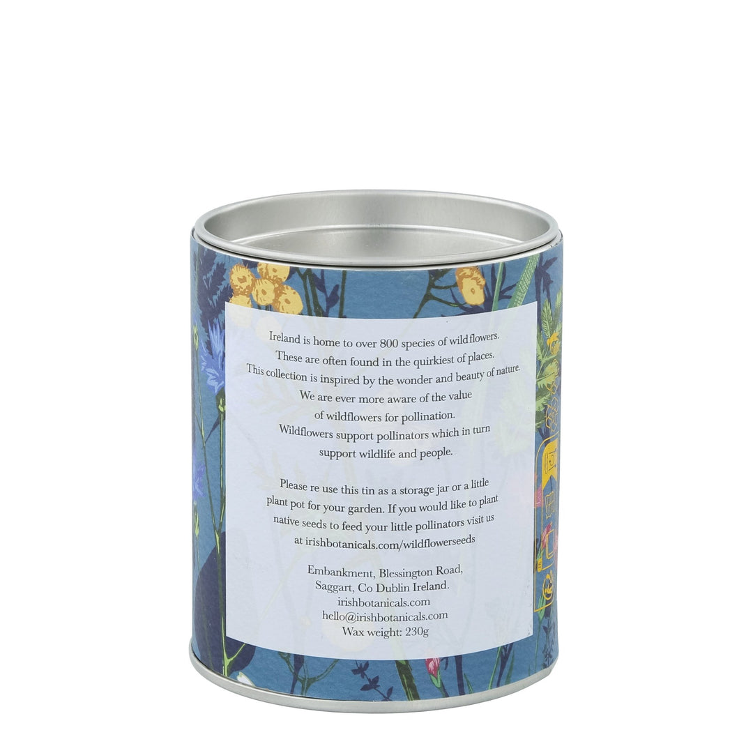 IB - E - IBW - RBL - TIN - Irish Botanicals - Hagebutte und Brombeerblatt Duft Kerze - Rosehip and Bramble Leaf Tin Candle