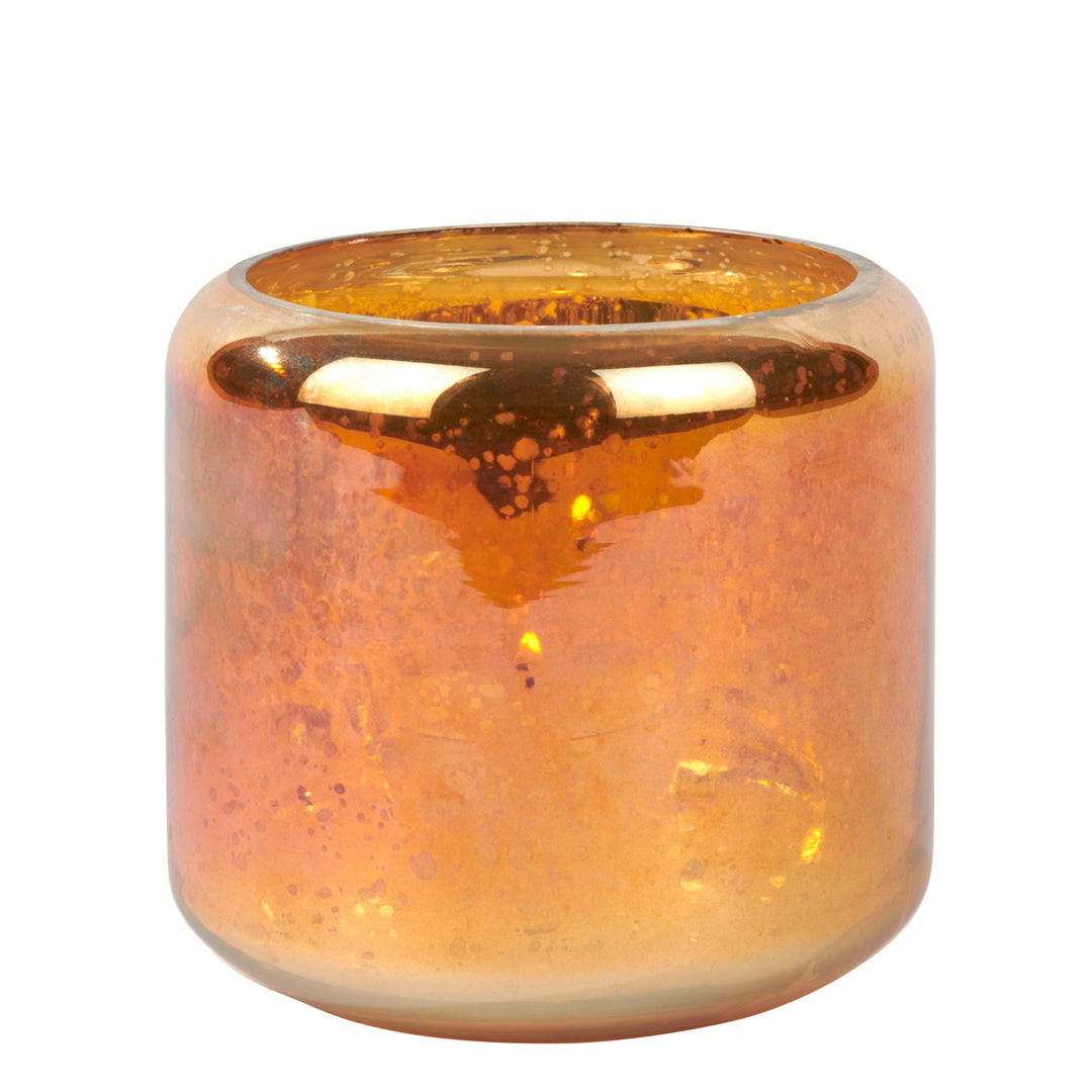 LAM - 18166 - Lambert - Oudare Windlicht groß,Glas, strelitzie, H9, D10 cm