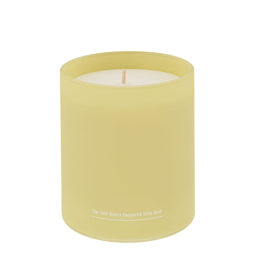 herb - HC - BB - 89 - Butterblume und Bienenbalsam Kerze, herb DUBLIN