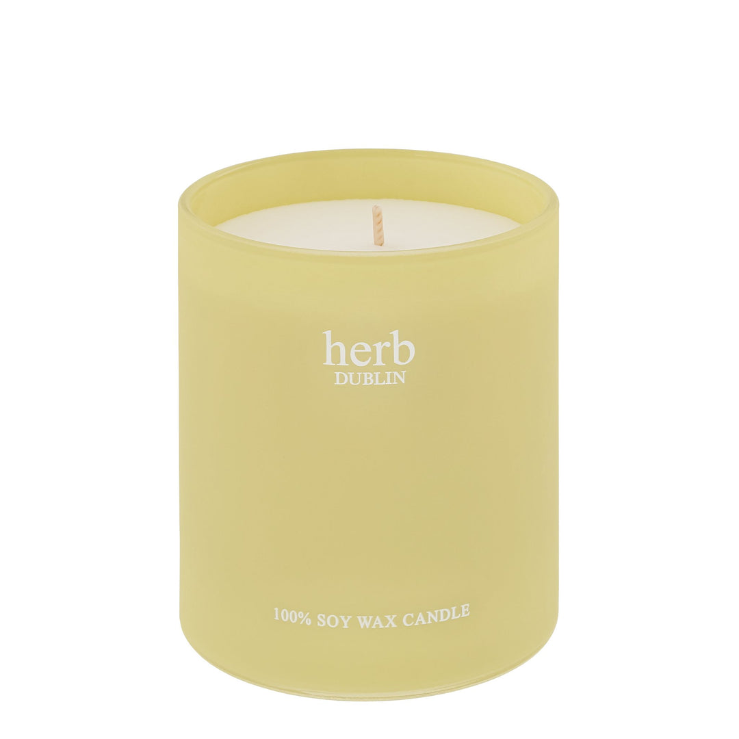 herb - HC - BB - 89 - Butterblume und Bienenbalsam Kerze, herb DUBLIN