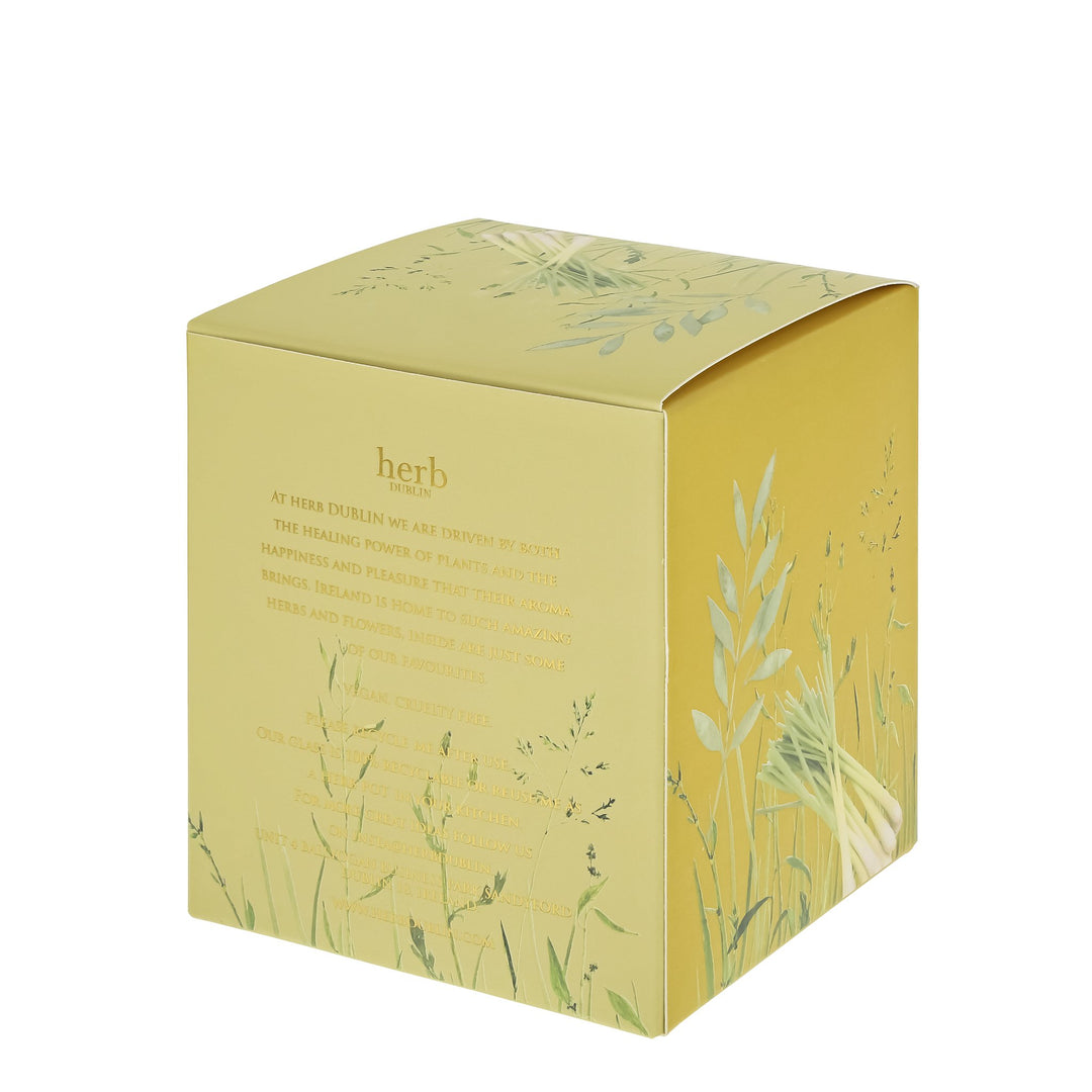 herb - HC - BB - 89 - Butterblume und Bienenbalsam Kerze, herb DUBLIN