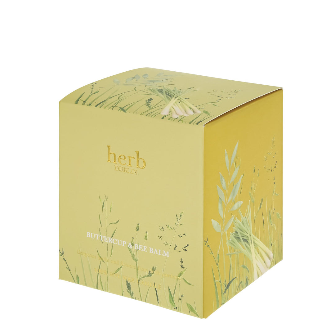 herb - HC - BB - 89 - Butterblume und Bienenbalsam Kerze, herb DUBLIN