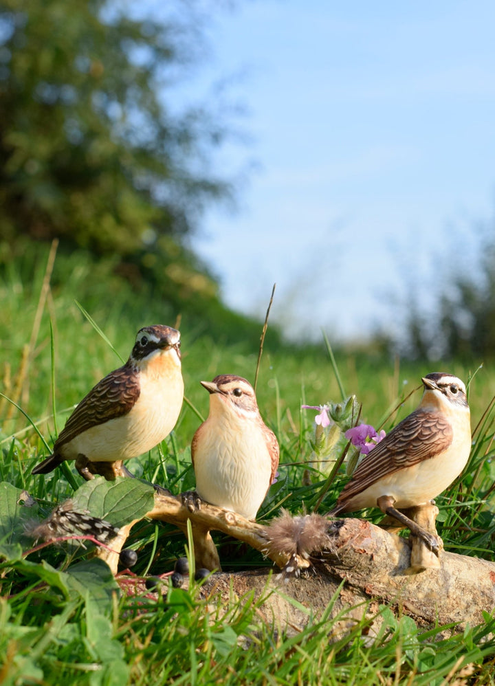 38473351 - Goebel Jahresvogel Figur 'Vogel des Jahres 2023 Braunkelchen' klein