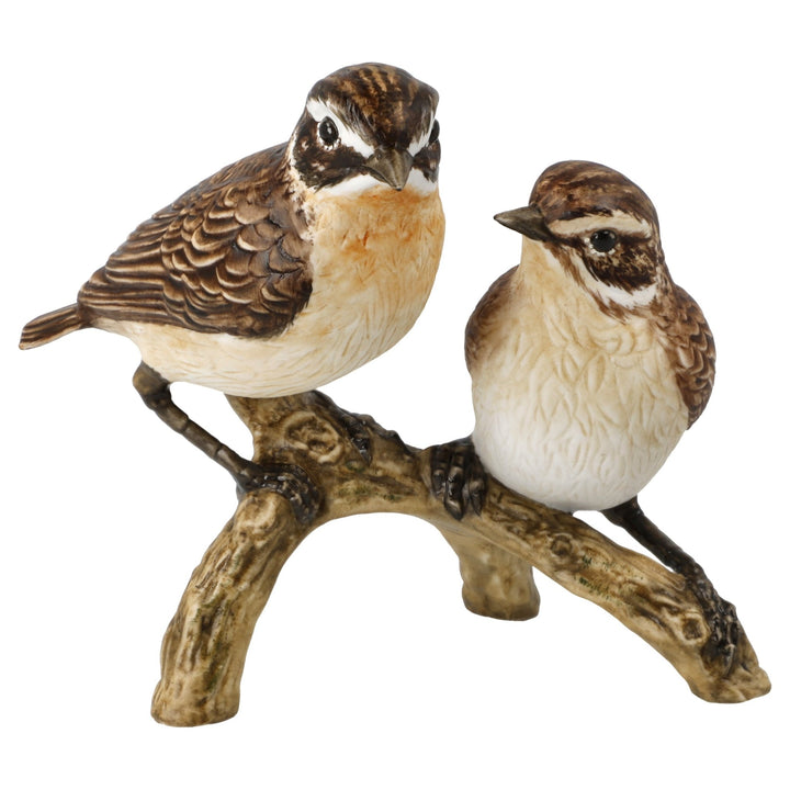 38473341 - Goebel Jahresvogel Figur 'Vogel des Jahres 2023 Braunkelchenpaar' groß