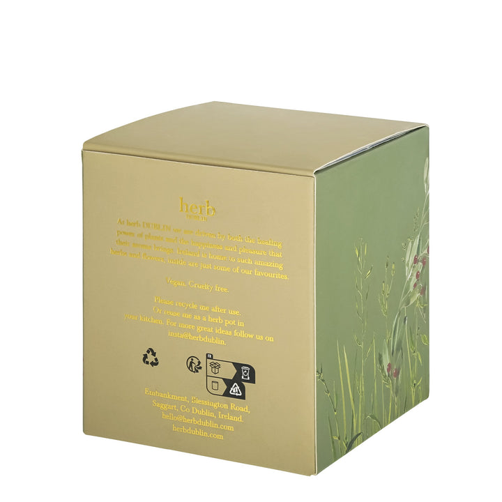 herb - HC - HJC - 89 - Holly Jolly Christmas Kerze, herb DUBLIN