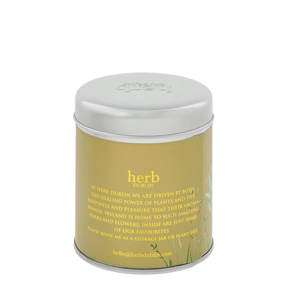 herb - HTS - HJC - Holly Jolly Weihnachten Zinn Kerze, herb DUBLIN