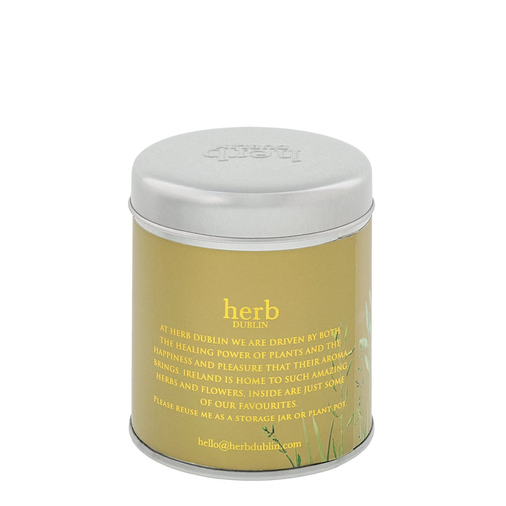 herb - HTS - HJC - Holly Jolly Weihnachten Zinn Kerze, herb DUBLIN