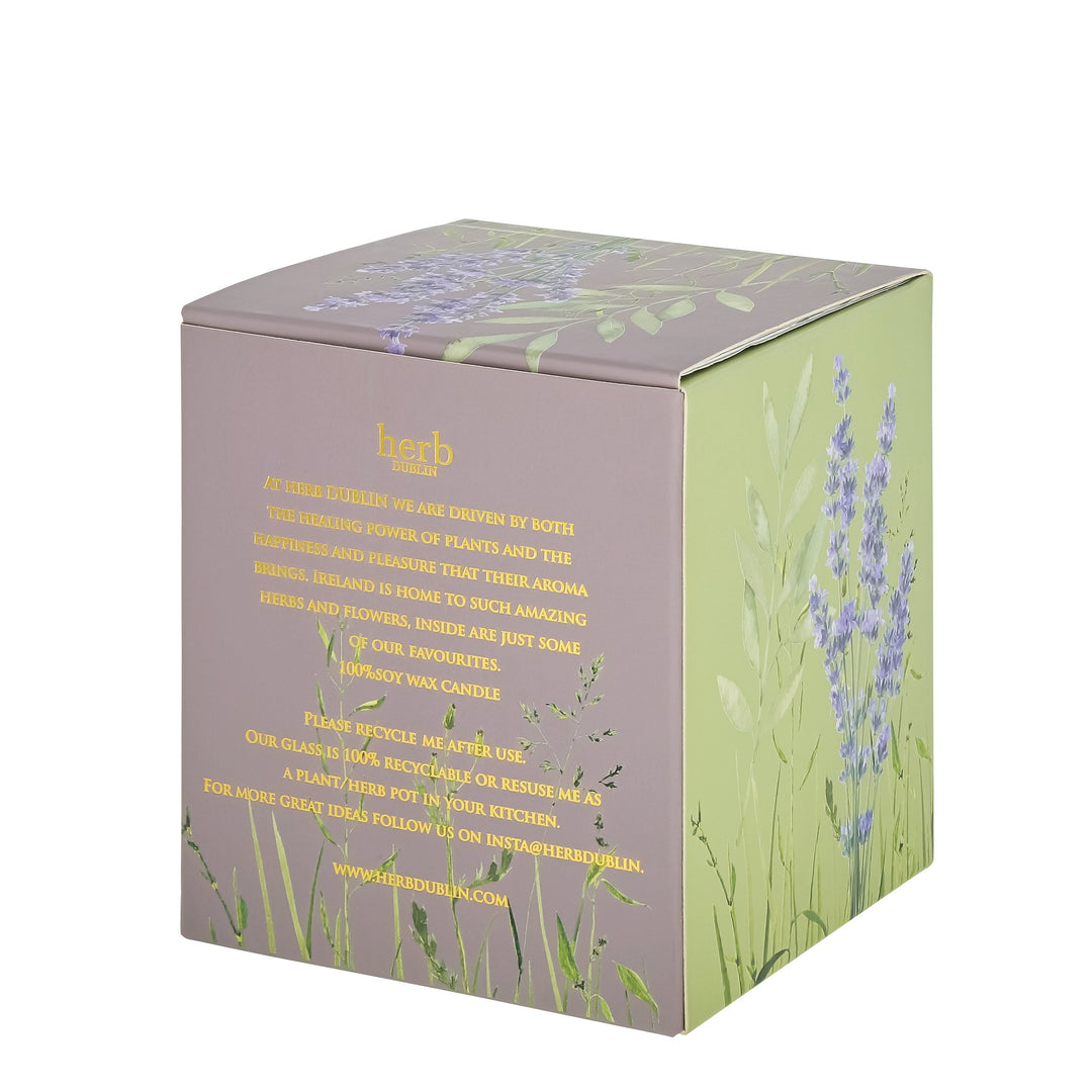 Lavendel Kerze, herb DUBLIN-herb-HC-LAV-89