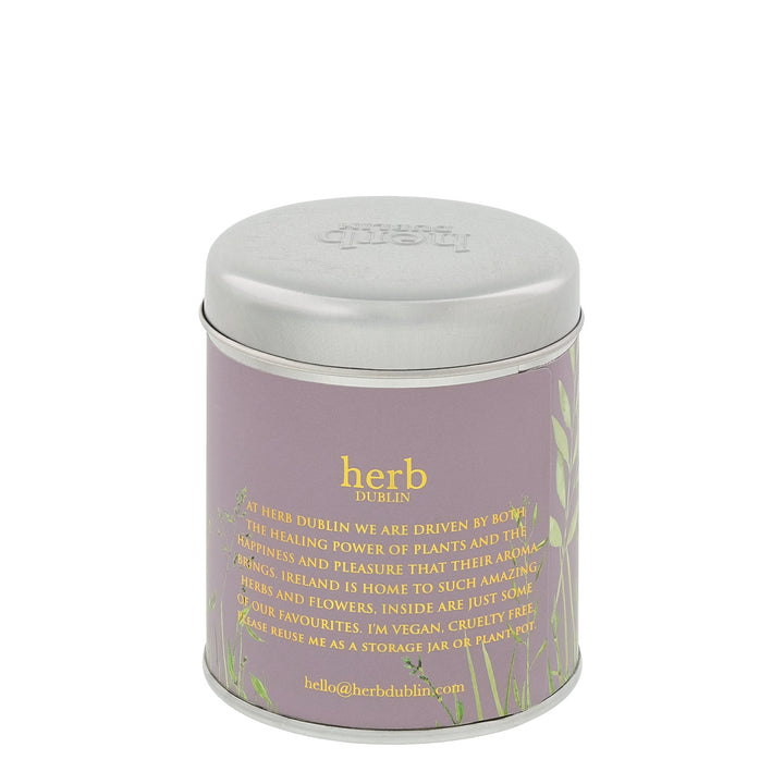 Lavender Tin Candle, herb DUBLIN-herb-HTS-LAV