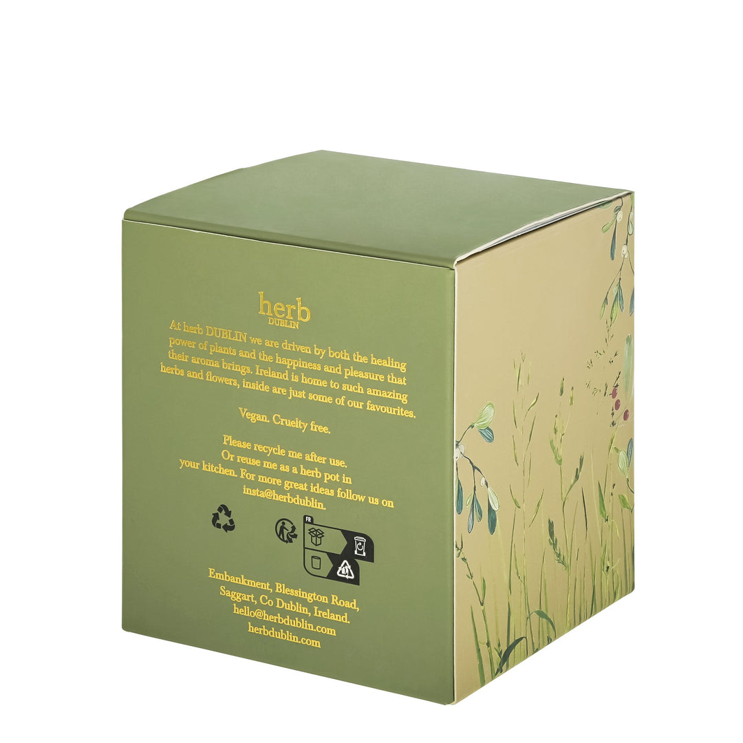 herb - HC - MW - 89 - Mistelzweig & Wein Kerze, herb DUBLIN