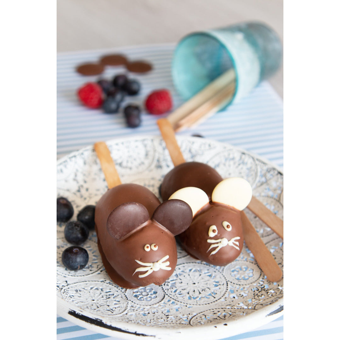 ST - 489547 - Städter 'Holzstiele, 100 Stück'