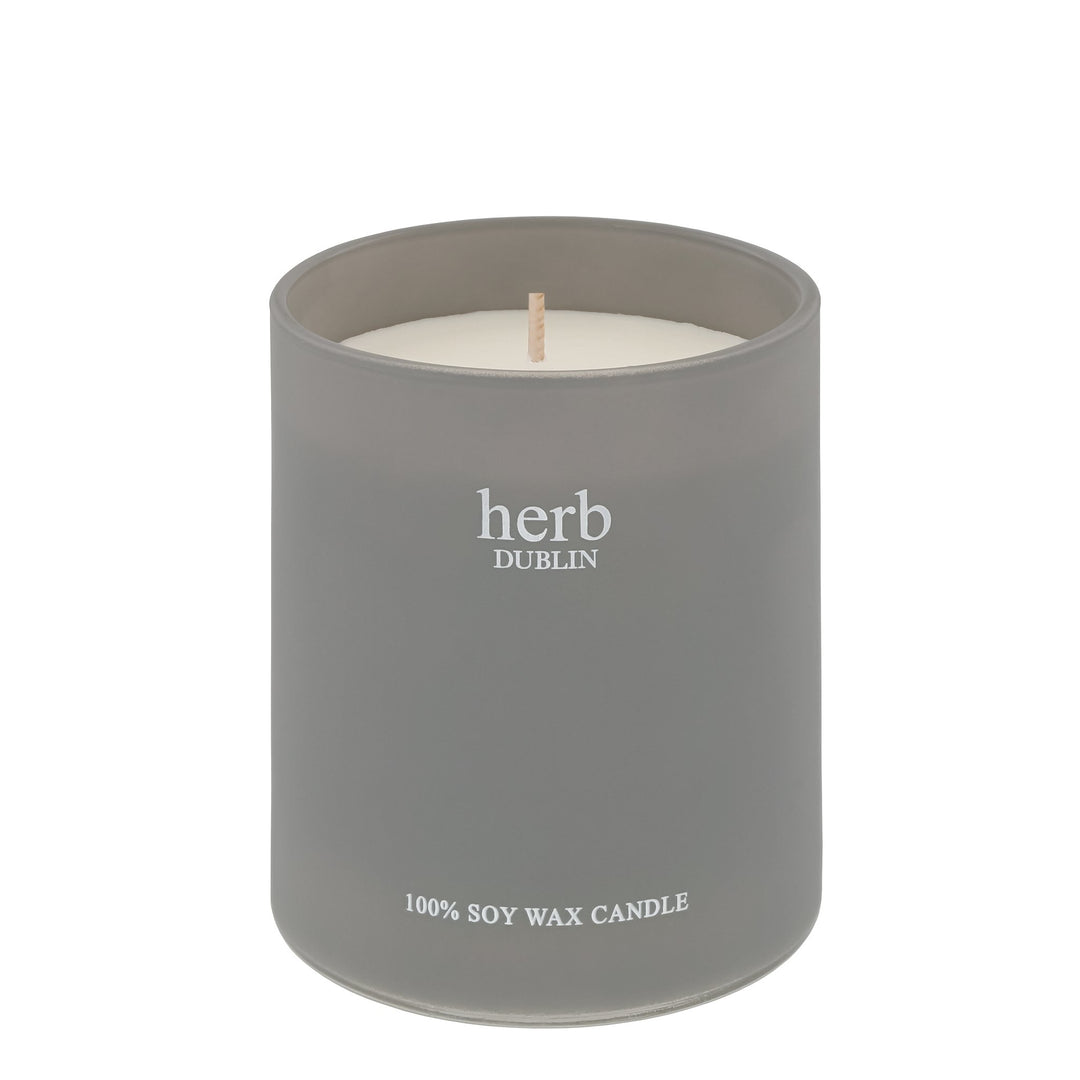 herb - HC - LG - 89 - Zitronengras und Ingwer Kerze, herb DUBLIN