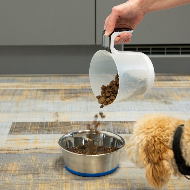 ADE-KE919 - ADE digitale Messbecherwaage Franca - 20,7 cm