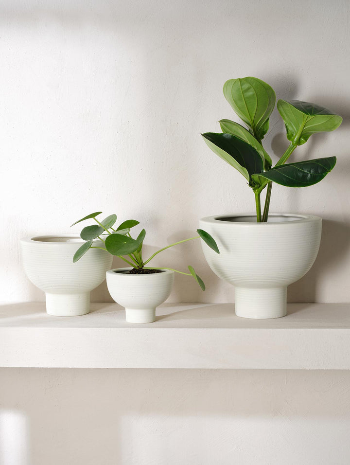 ASA-02220249 - Asa, Übertopf auf Fuß, soft shell