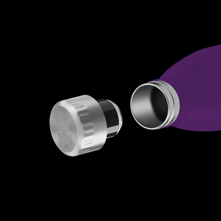 FL - 1010 - 0500 - 2035 - FLSK To - Go - Bottle 500ml nordic plum