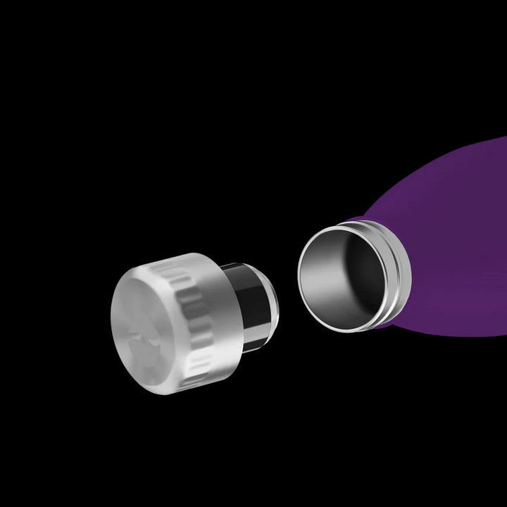 FL - 1010 - 0750 - 2035 - FLSK To - Go - Bottle 750ml nordic plum