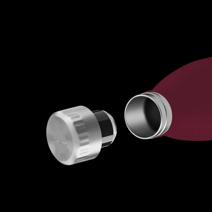 FL - 1010 - 0750 - 2033 - FLSK To - Go - Bottle 750ml winterberry