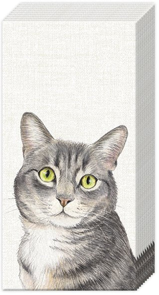 IHR - PT1047660 - Ihr, Papiertaschentücher, Cats, 21x21cm