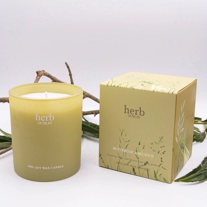 Butterblume und Bienenbalsam Kerze, herb DUBLIN-herb-HC-BB-89