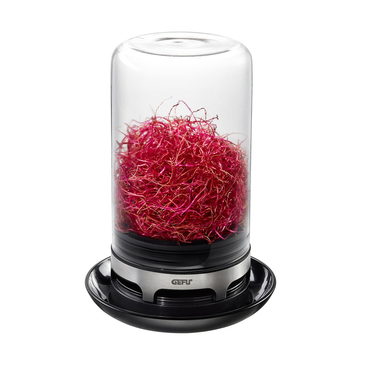 GE18910 - GEFU 'Sprossenglas BIVITA - Küchenutensilien'