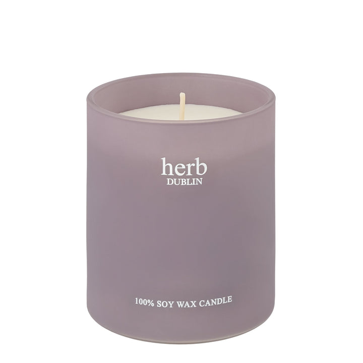 Lavendel Kerze, herb DUBLIN-herb-HC-LAV-89